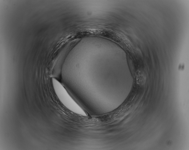 X0000097911298200804041452