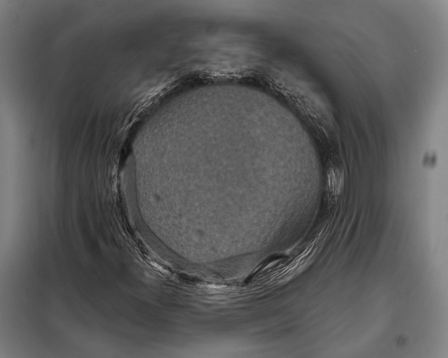 X0000097911300200804041452