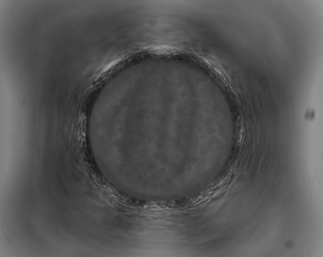 X0000097911301200804041452