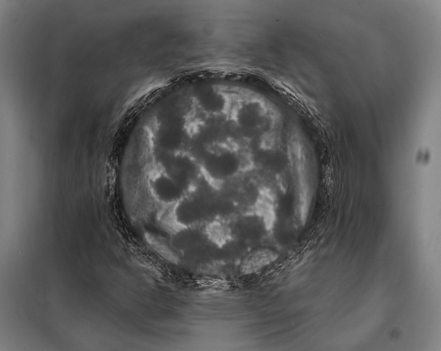 X0000097911302200804041452