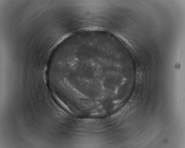 X0000097911305200804041452