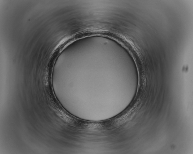 X0000097911306200804041452