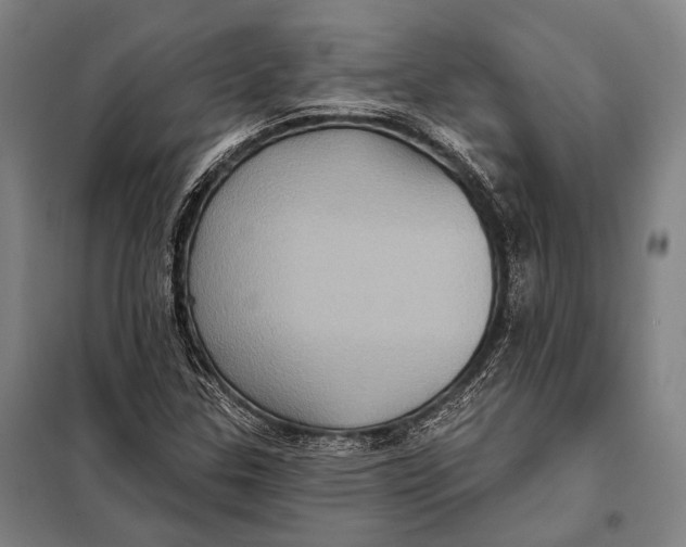 X0000097911307200804041452