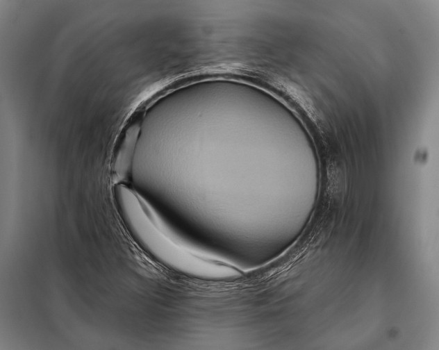 X0000097911308200804041452