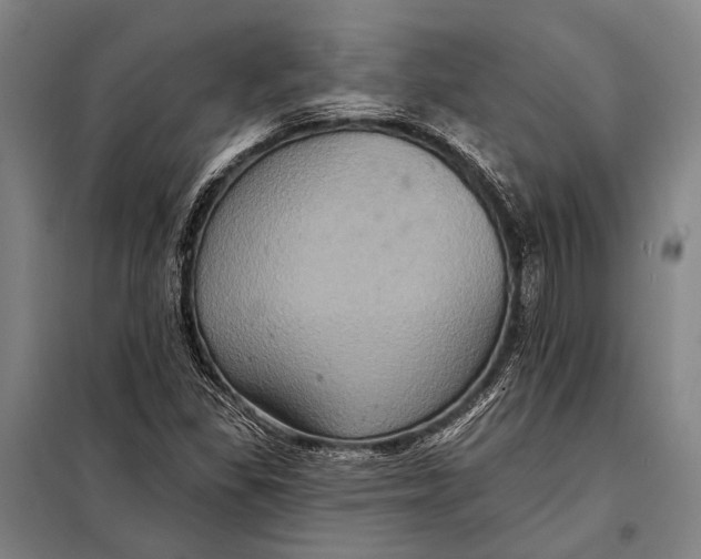 X0000097911309200804041452