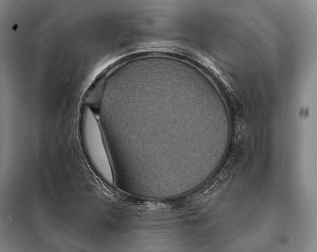 X0000097911312200804041452