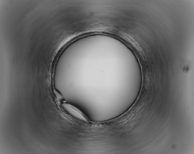 X0000097911316200804041452