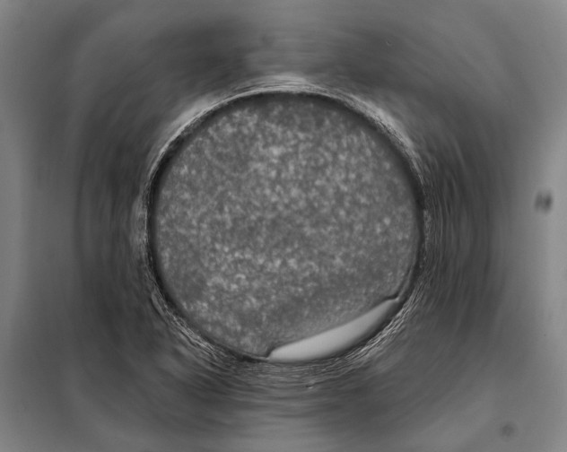 X0000097911318200804041452