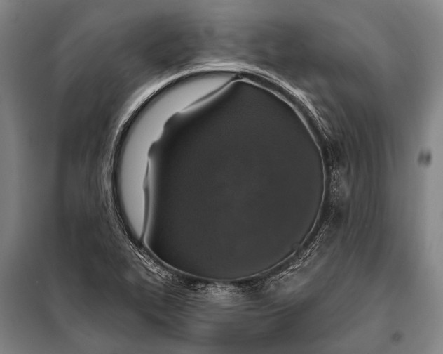 X0000097911319200804041452