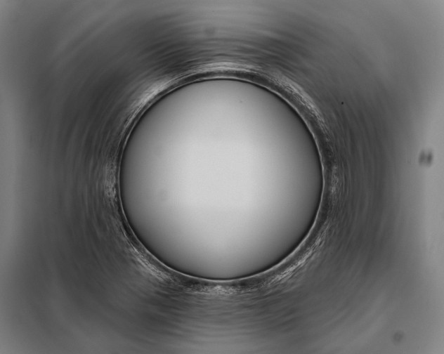 X0000097911321200804041452