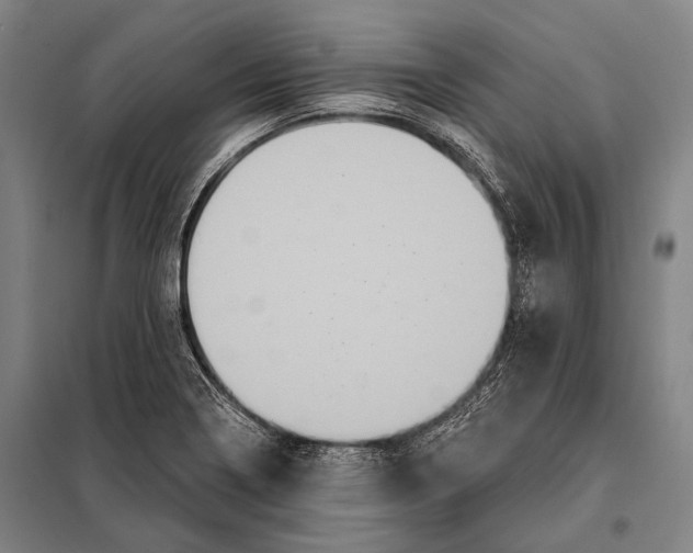 X0000097911322200804041452