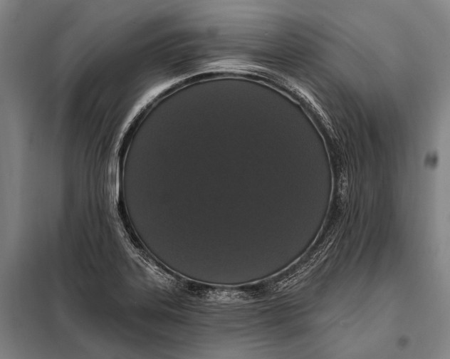 X0000097911323200804041452