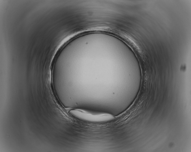 X0000097911324200804041452