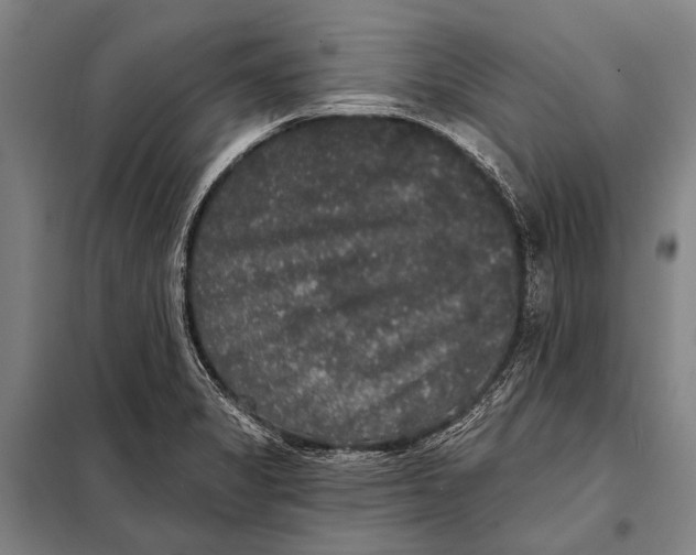 X0000097911325200804041452