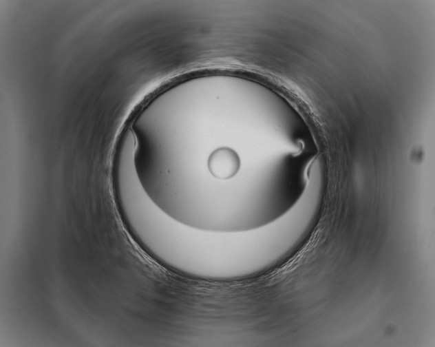 X0000097911326200804041452