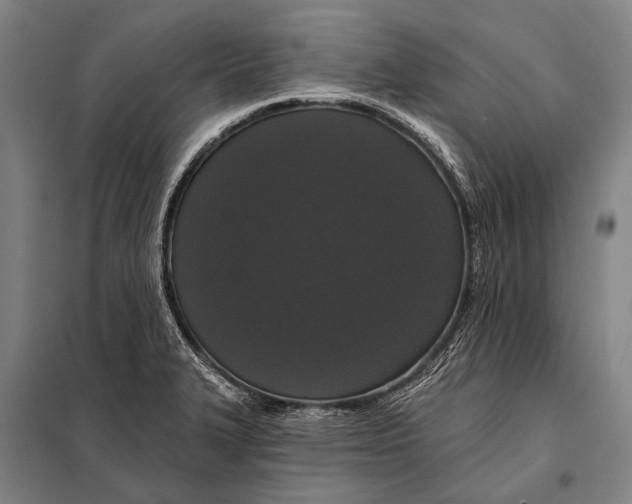 X0000097911327200804041452