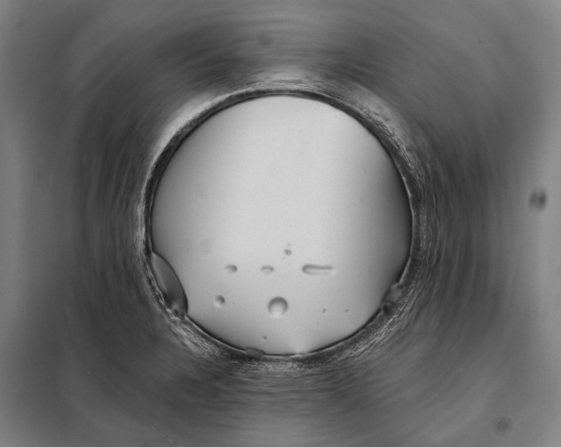 X0000097911328200804041452