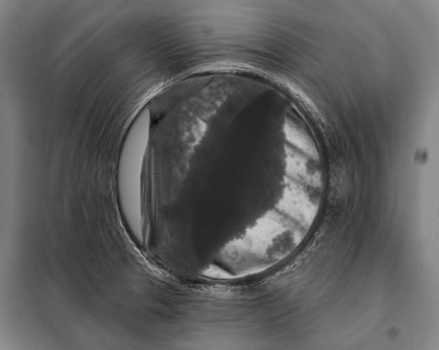 X0000097911329200804041452