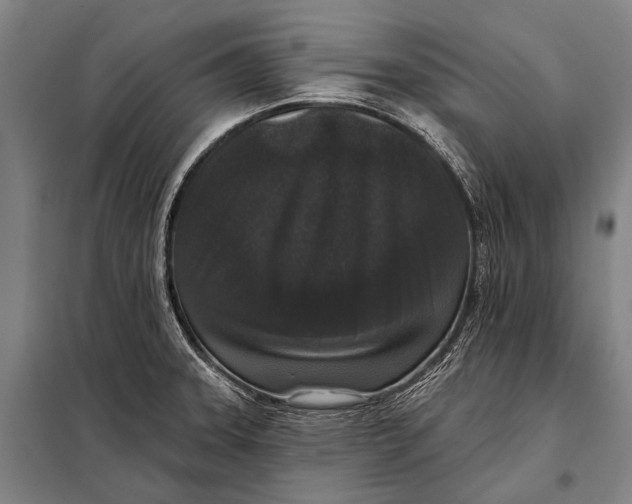 X0000097911331200804041452