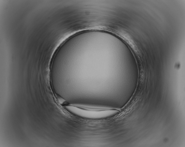 X0000097911332200804041452