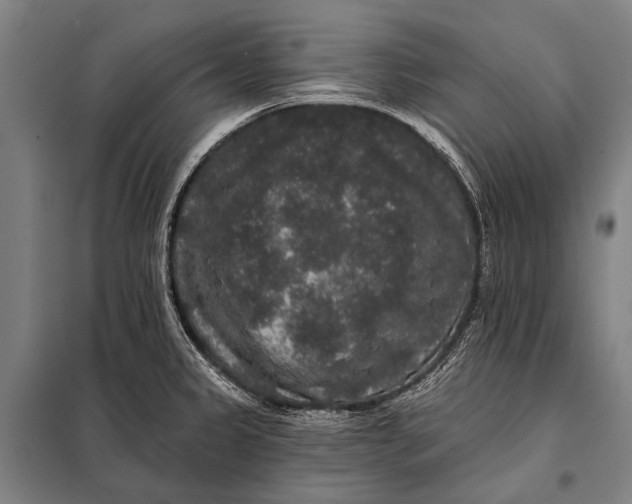 X0000097911333200804041452