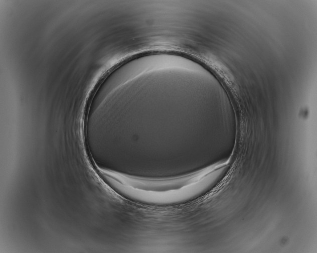 X0000097911334200804041452