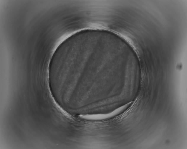 X0000097911335200804041452