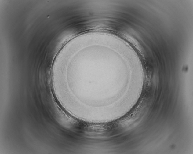 X0000097911338200804041452