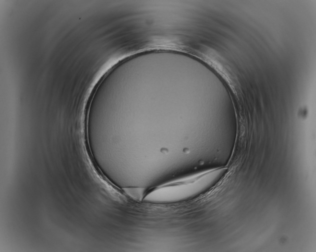 X0000097911339200804041452