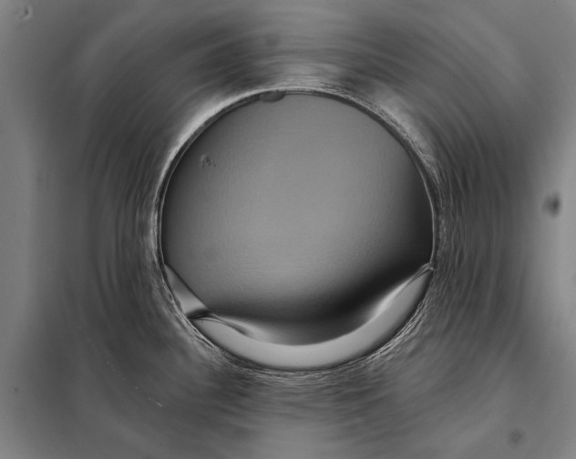 X0000097911340200804041452