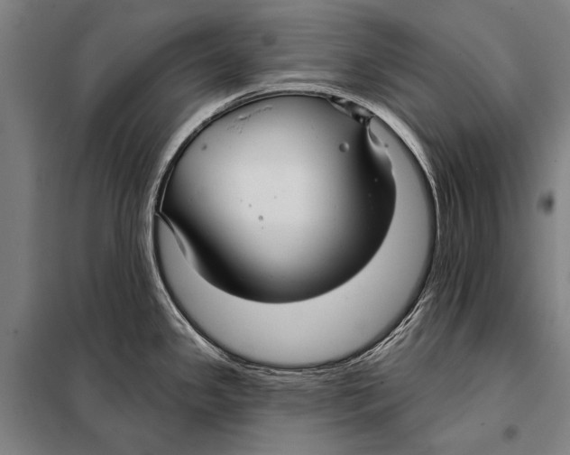 X0000097911341200804041452