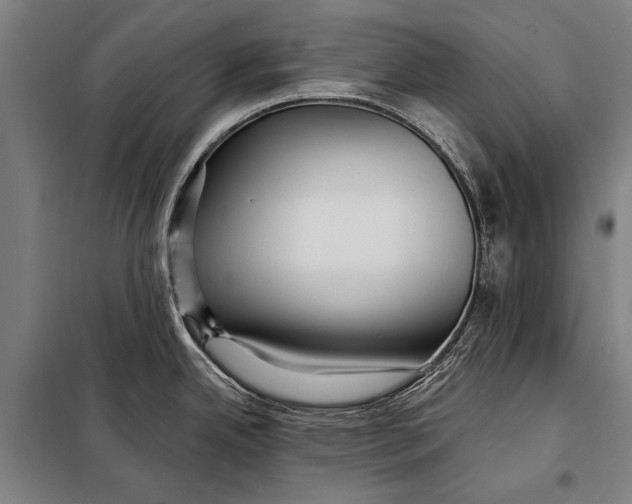 X0000097911342200804041452