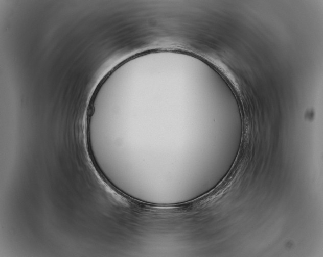 X0000097911343200804041452