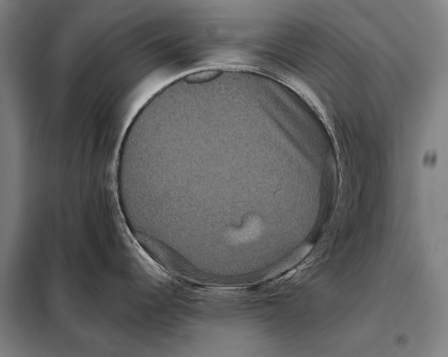 X0000097911344200804041452