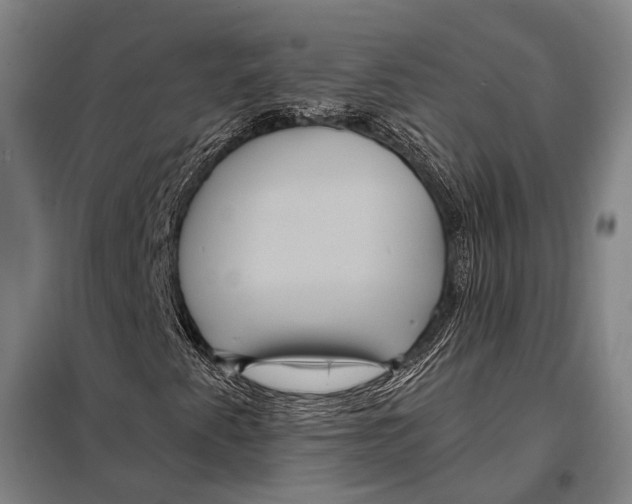 X0000097911345200804041452