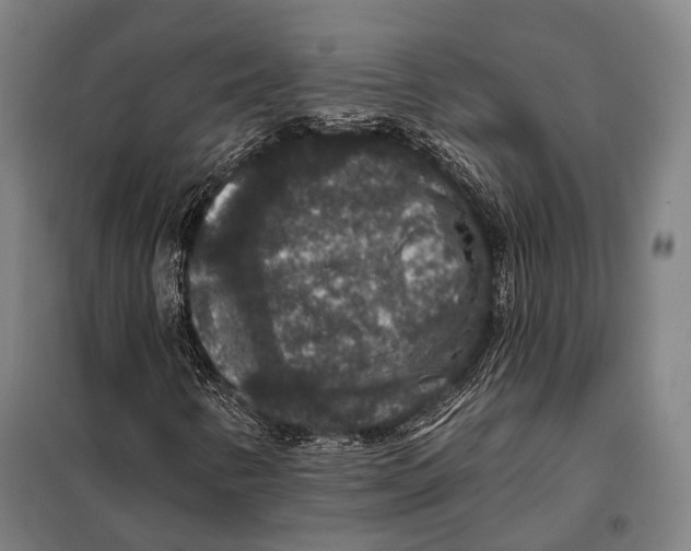 X0000097911346200804041451