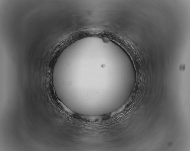 X0000097911349200804041451