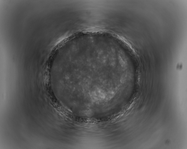 X0000097911350200804041451