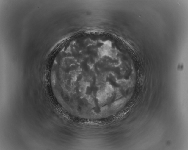 X0000097911351200804041451