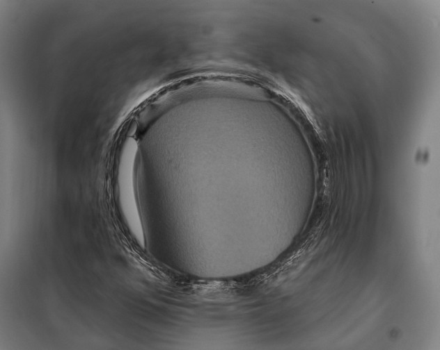 X0000097911352200804041451