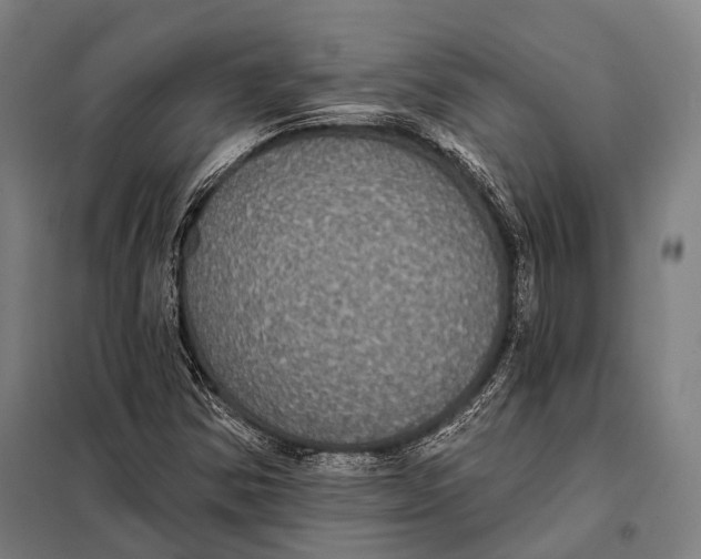 X0000097911354200804041451