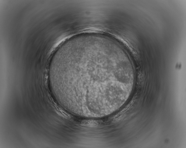 X0000097911355200804041451