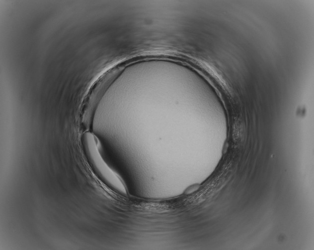 X0000097911356200804041451