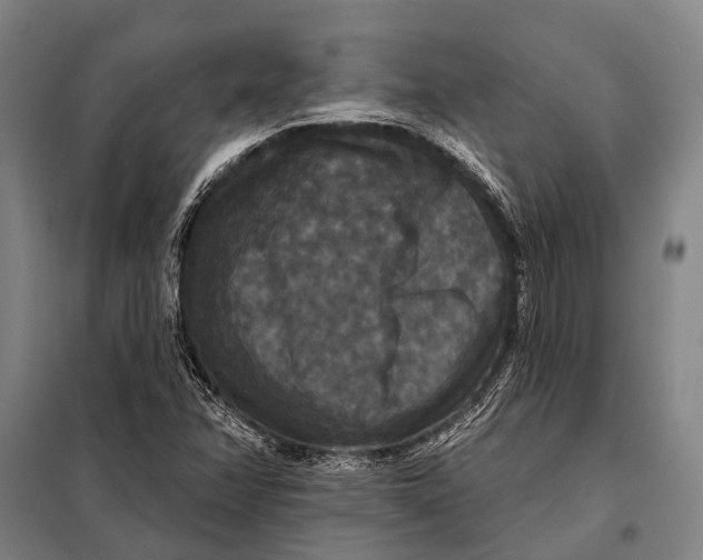 X0000097911358200804041451