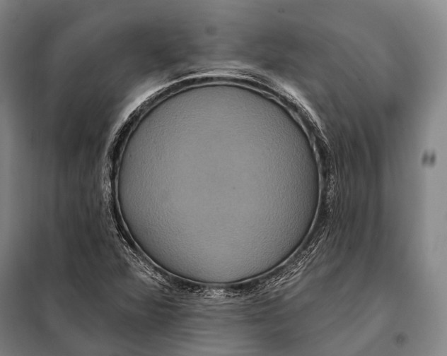 X0000097911360200804041451