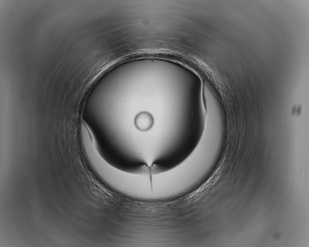 X0000097911361200804041451