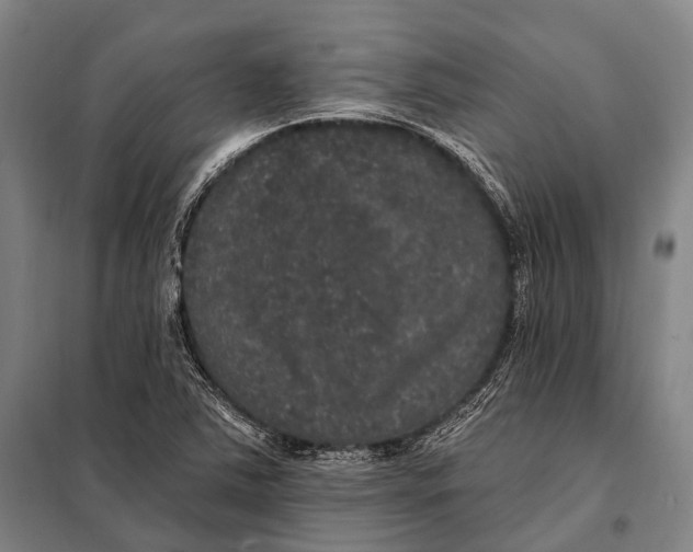 X0000097911363200804041451