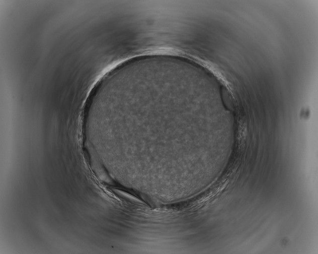 X0000097911364200804041451