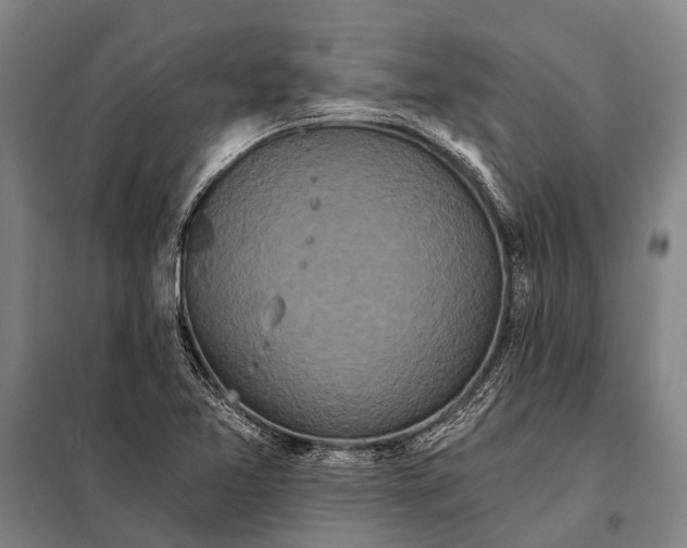 X0000097911365200804041451