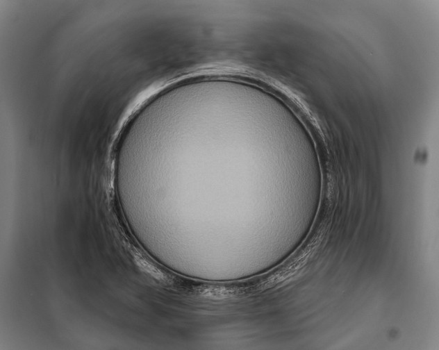 X0000097911366200804041451